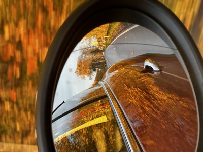 "Рыжее настроение"