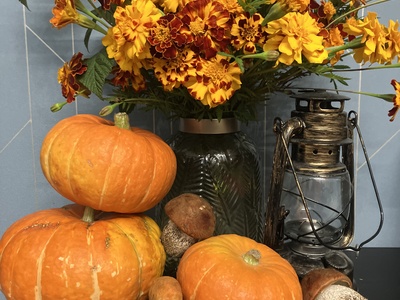 "Рыжее настроение"